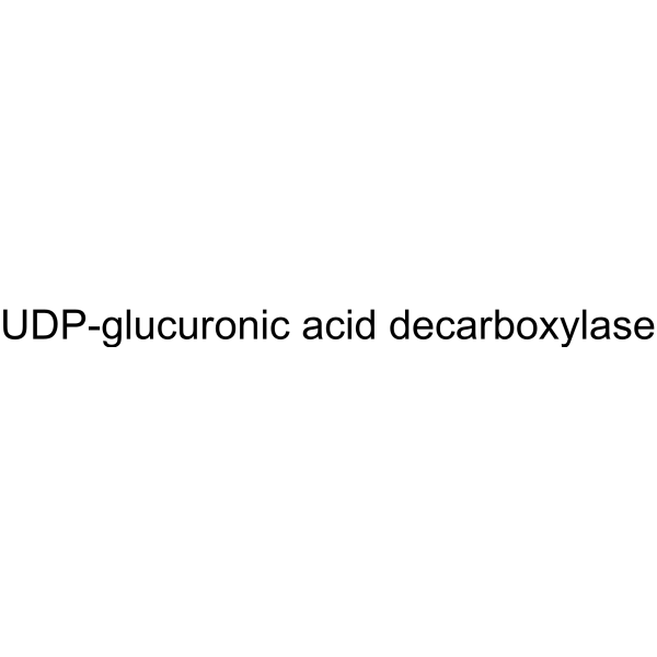 UDP-glucuronic acid decarboxylase 9024-68-4